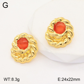 2E4003777vbll-434  Stainless Steel Earrings