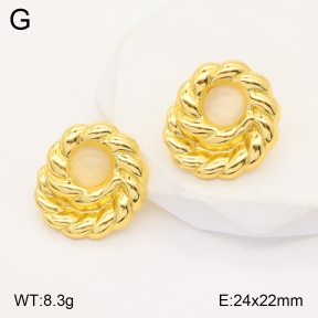 2E4003778vbll-434  Stainless Steel Earrings