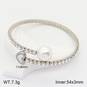 2BA401731vhha-436  Stainless Steel Bangle