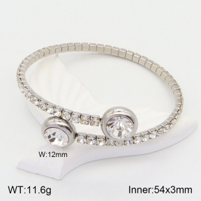 2BA401742vhha-436  Stainless Steel Bangle