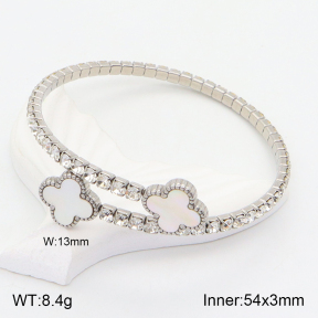 2BA401751vhha-436  Stainless Steel Bangle