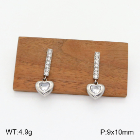 2E4003780bbov-436  Stainless Steel Earrings