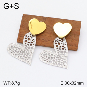 2E2004700vbnb-341  Stainless Steel Earrings