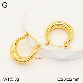 2E2004732bbml-452  Stainless Steel Earrings