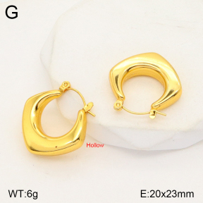 2E2004738bbml-452  Stainless Steel Earrings