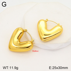 2E2004757bbml-452  Stainless Steel Earrings