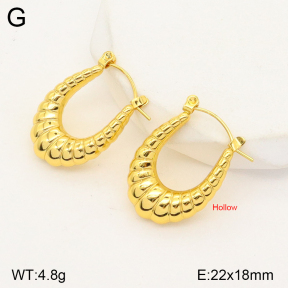 2E2004762bbml-452  Stainless Steel Earrings