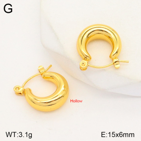 2E2004765bbml-452  Stainless Steel Earrings