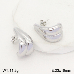 2E2004788ablb-351  Stainless Steel Earrings