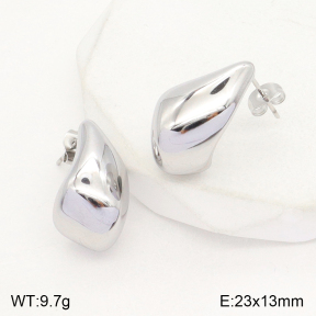 2E2004789vbll-351  Stainless Steel Earrings