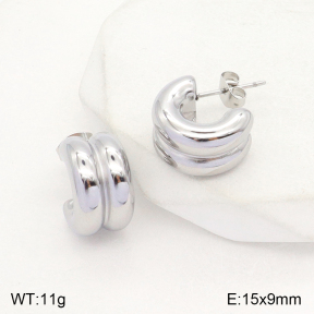 2E2004790ablb-351  Stainless Steel Earrings