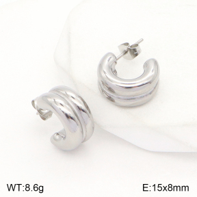 2E2004791ablb-351  Stainless Steel Earrings