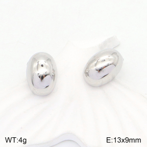 2E2004792baka-351  Stainless Steel Earrings