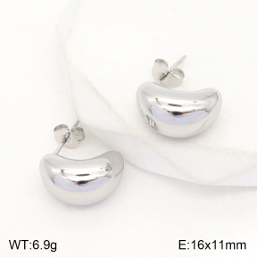 2E2004793aakl-351  Stainless Steel Earrings