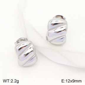 2E2004794baka-351  Stainless Steel Earrings