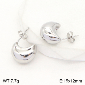 2E2004795baka-351  Stainless Steel Earrings