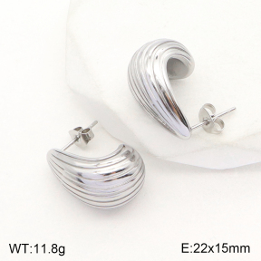 2E2004796vbll-351  Stainless Steel Earrings