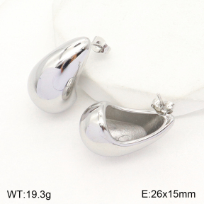 2E2004797vbll-351  Stainless Steel Earrings