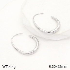 2E2004798aakl-351  Stainless Steel Earrings