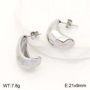 2E2004799ablb-351  Stainless Steel Earrings