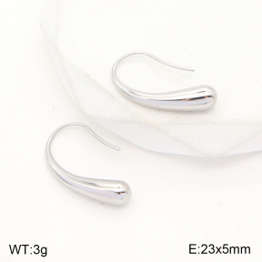 2E2004800aakl-351  Stainless Steel Earrings