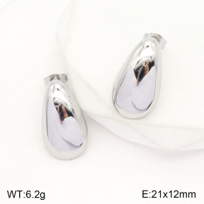 2E2004801aakl-351  Stainless Steel Earrings