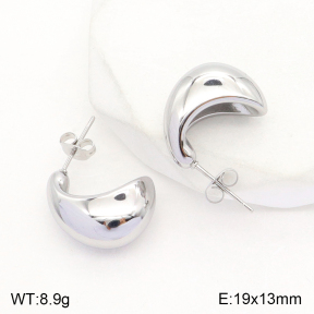 2E2004802aakl-351  Stainless Steel Earrings