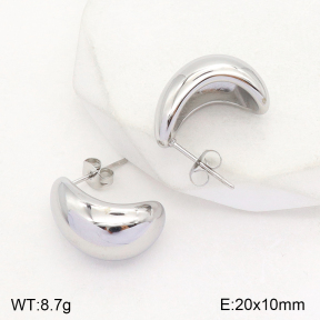 2E2004803aakl-351  Stainless Steel Earrings