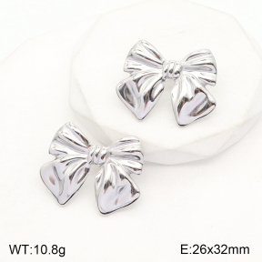 2E2004804baka-351  Stainless Steel Earrings