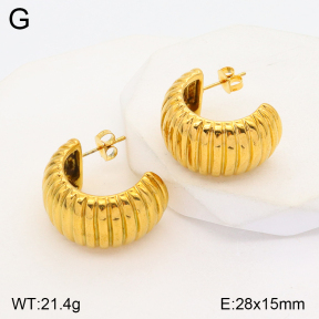 2E2004811bbml-686  Stainless Steel Earrings