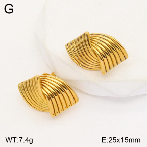 2E2004821bbml-686  Stainless Steel Earrings