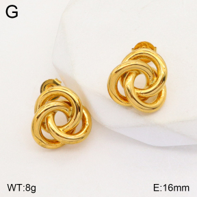 2E2004824bbml-686  Stainless Steel Earrings