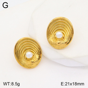 2E3002734vbnb-686  Stainless Steel Earrings