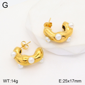 2E3002736vbnb-686  Stainless Steel Earrings