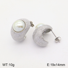 2E3002738bhva-686  Stainless Steel Earrings