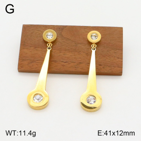 2E4003785aakl-698  Stainless Steel Earrings