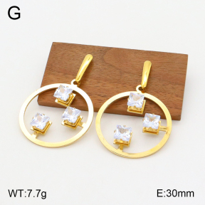 2E4003787aakl-698  Stainless Steel Earrings