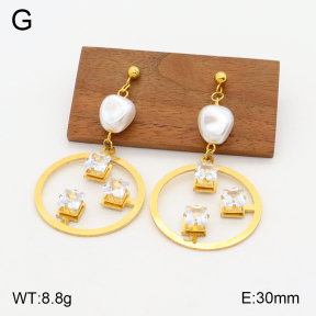 2E4003788aakl-698  Stainless Steel Earrings