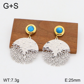 2E4003790vbnl-341  Stainless Steel Earrings