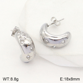 2E4003820vbll-351  Stainless Steel Earrings