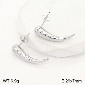 2E4003821vbll-351  Stainless Steel Earrings