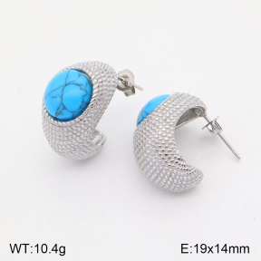 2E4003833bhva-686  Stainless Steel Earrings