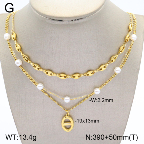 2N3001979bhia-669  Stainless Steel Necklace