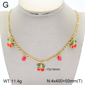 2N3001980vhhl-669  Stainless Steel Necklace