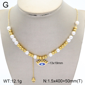 2N3001981bhil-669  Stainless Steel Necklace