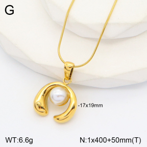 2N3001991bbml-686  Stainless Steel Necklace