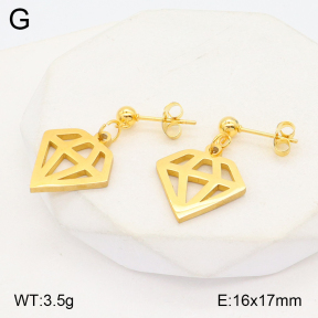 2E2004858avja-704  Stainless Steel Earrings