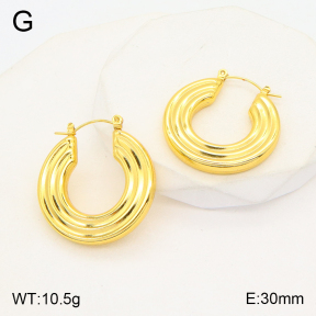 2E2004870bbov-742  Stainless Steel Earrings