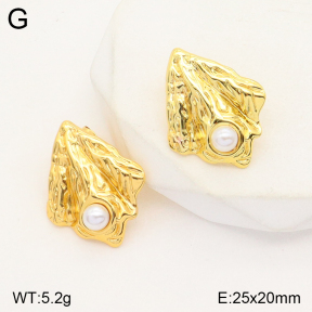 2E3002728vbmb-765  Stainless Steel Earrings