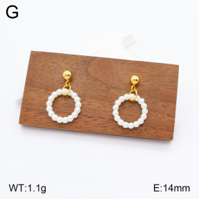 2E3002746aaio-704  Stainless Steel Earrings